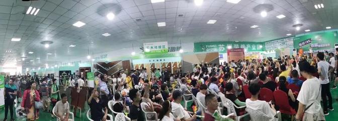 兔寶寶環(huán)保行7月29日蘇州站 綠色裝飾，感恩回饋